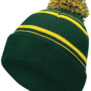 Homecoming Beanie - Image 1